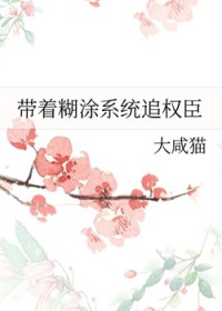 带着糊涂系统追反派